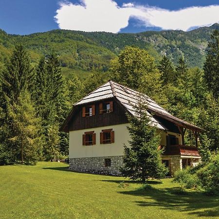 Chalet Primus Near Soca Gorge - Happy Rentals Extérieur photo