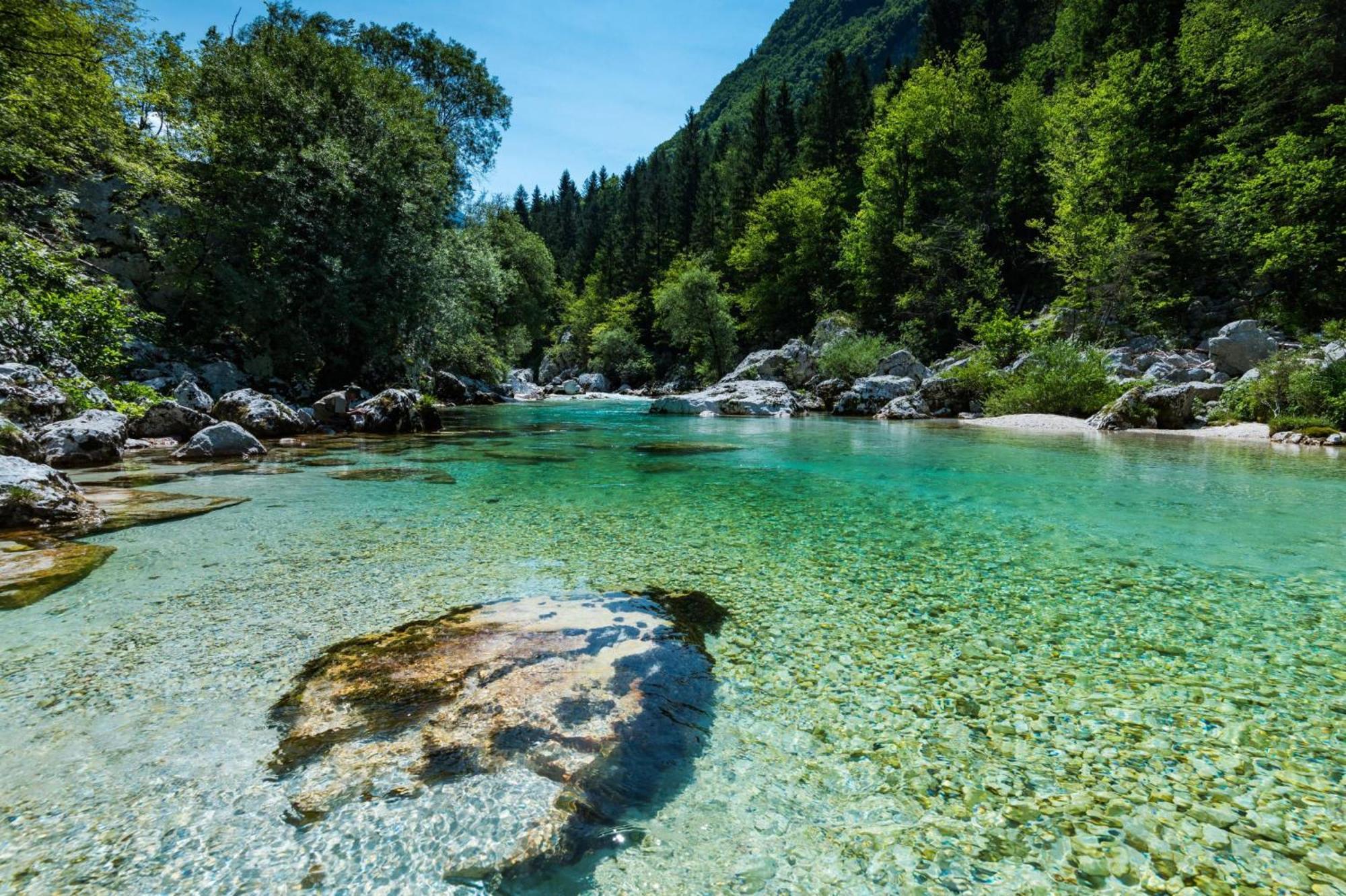 Chalet Primus Near Soca Gorge - Happy Rentals Extérieur photo