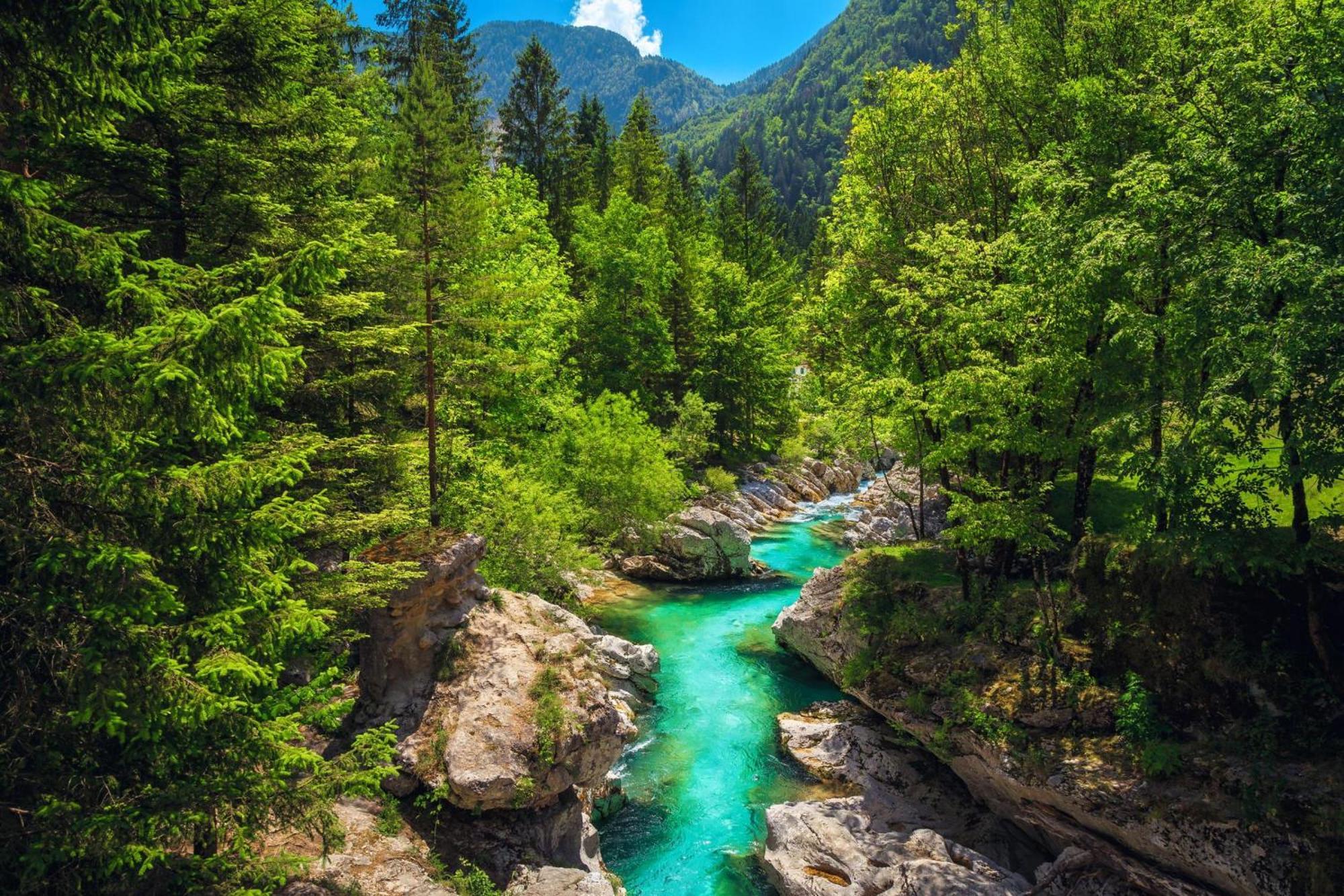 Chalet Primus Near Soca Gorge - Happy Rentals Extérieur photo